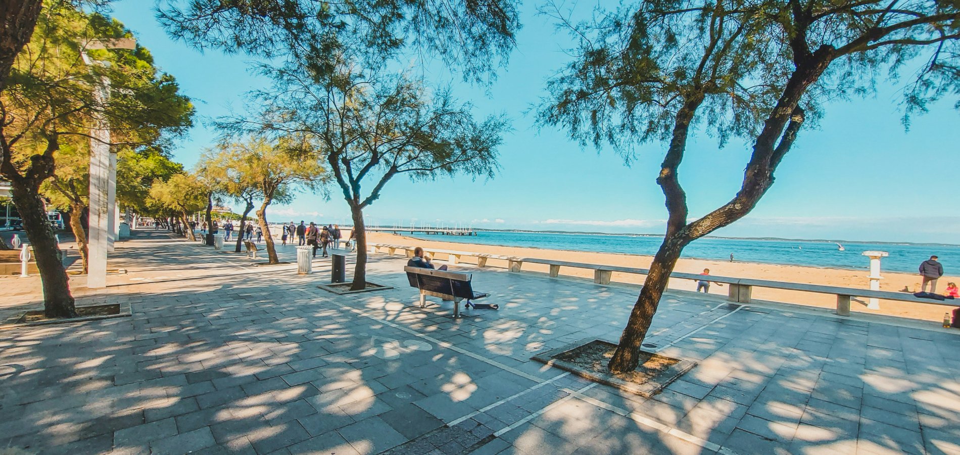 Ophorus Tours - Our New Shared Tour to 
Arcachon Bay & Dune du Pilat