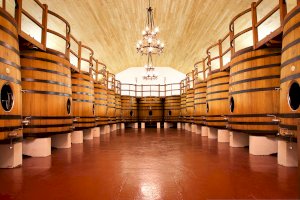 Ophorus Blog - Bordeaux Travel Guide: Wine, Villages & Southwest France (2026)