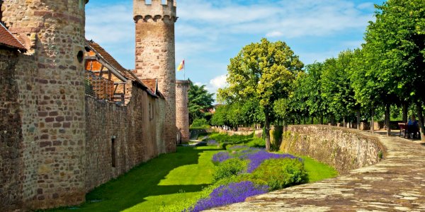 Ophorus Blog - Alsace Travel Guide: Wine Route, Villages & Christmas Markets (2026)