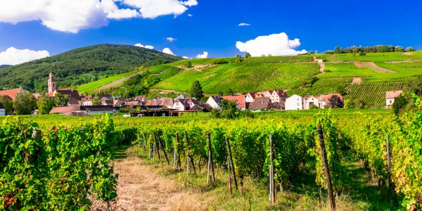 Ophorus Blog - Alsace Wine Route Guide: Villages, Vineyards & How to Visit (2026)