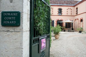 Ophorus Blog - Best Time to Visit Burgundy: Seasons, Harvest & Crowds (2026)