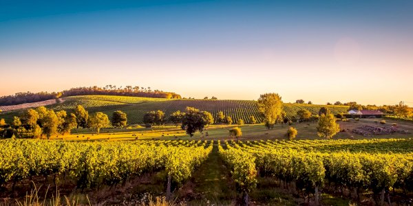 Ophorus Blog - Best Bordeaux Wine Tours 2024