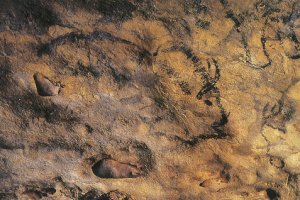 Ophorus Blog - Our Selection of the Best Prehistoric Caves of the Dordogne