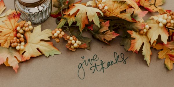 Ophorus Blog - Thanksgiving : A Celebration of Gratitude, Tradition, and Togetherness