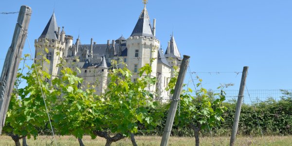 Ophorus Blog - Wine Travel in France: A Region-by-Region Guide (2026)