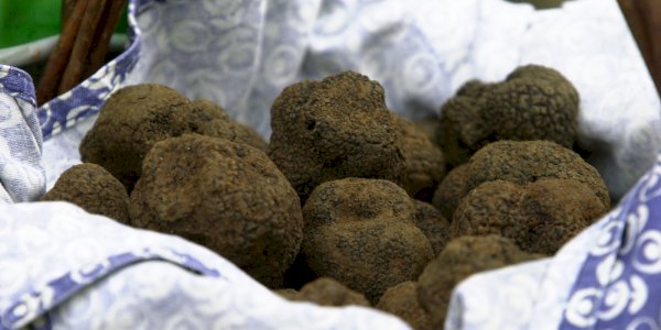 Ophorus Blog - Food & Gastronomy Travel in France: A Journey Through Regional Flavors