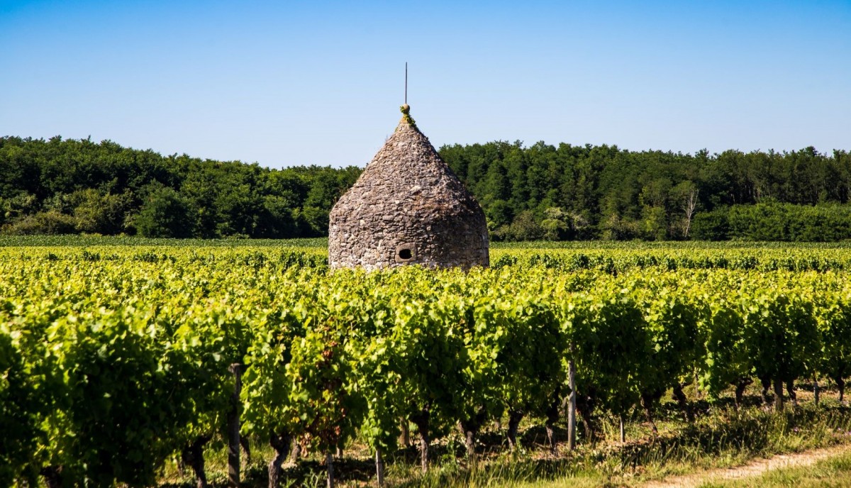 Sauternes Wine Tour from Bordeaux