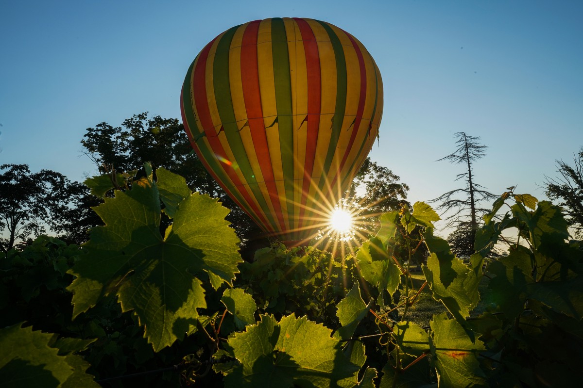Saint Emilion Hot Air Balloon Ride from Bordeaux