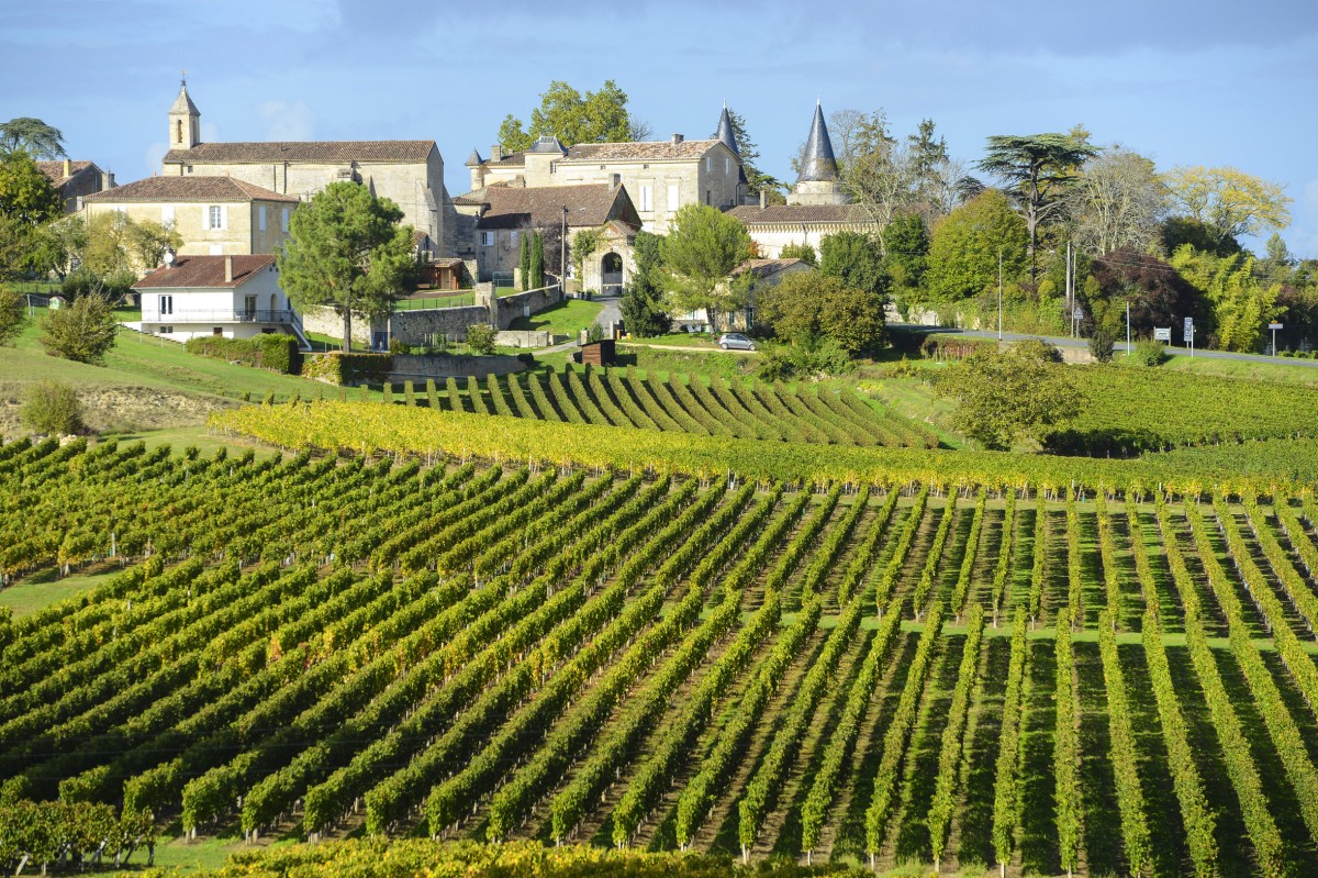 Saint-Emilion village & vineyard