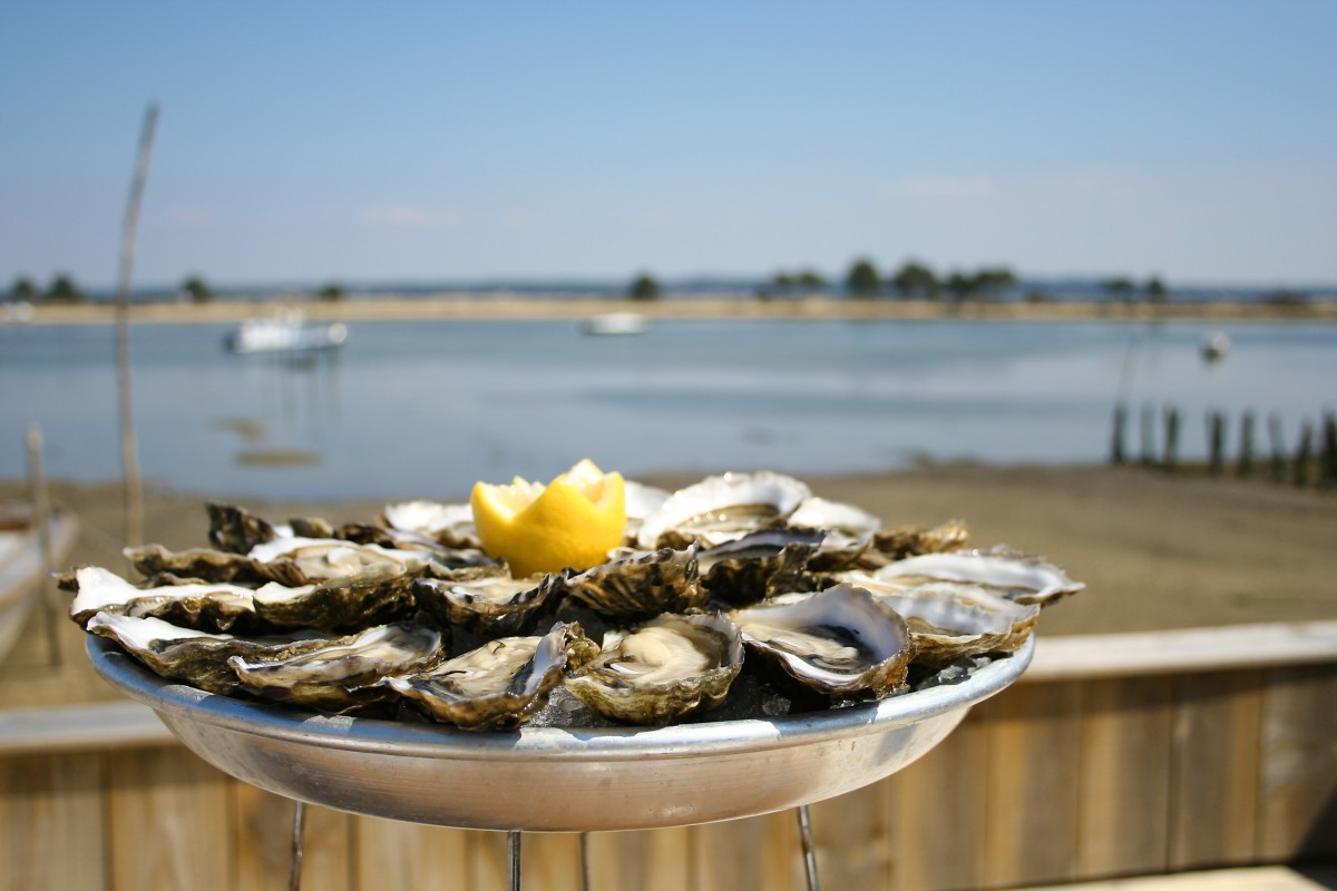 Oyster tasting activity from Bordeaux