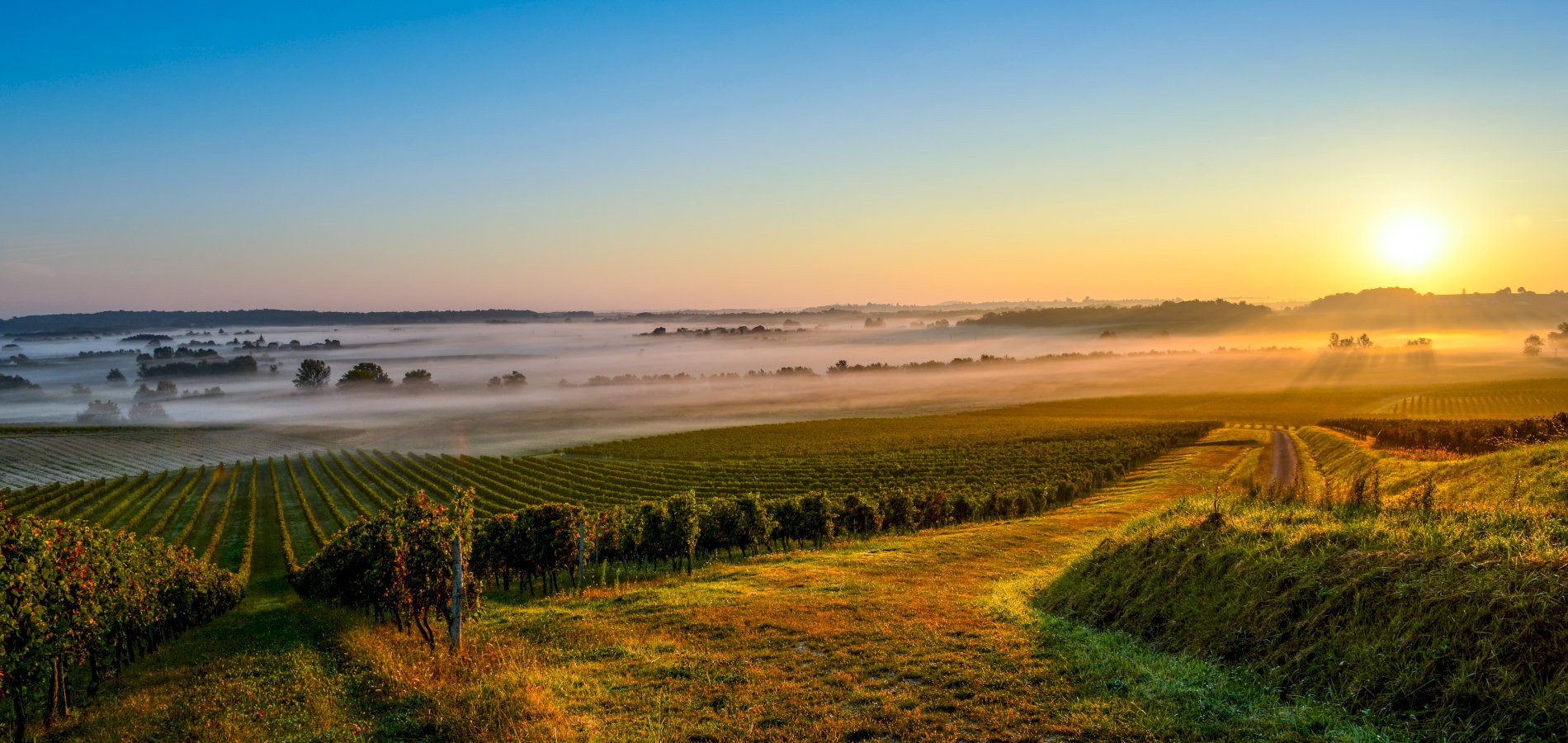 wine tour from le verdon