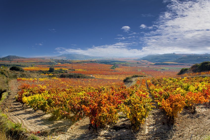 Ophorus Tours - Cross-Border Tours