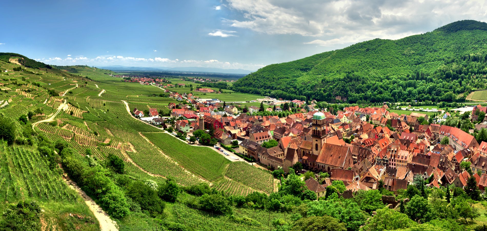 Ophorus Tours - Alsace