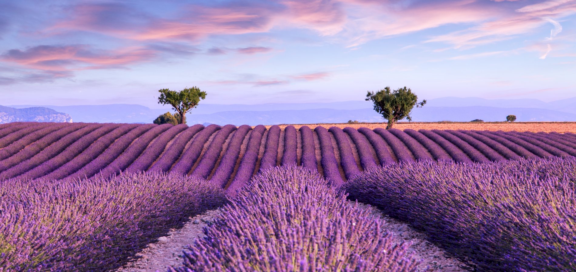 Ophorus Tours - Provence