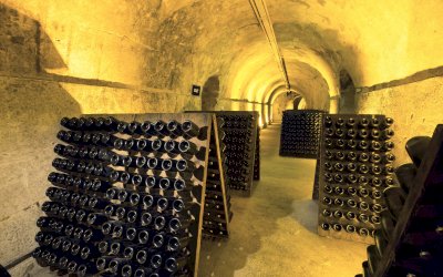 Ophorus Tours - WINES OF CHAMPAGNE, ALSACE & BURGUNDY GROUP TOUR