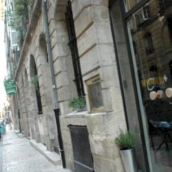 Ophorus Tours - Partner C'Yusha