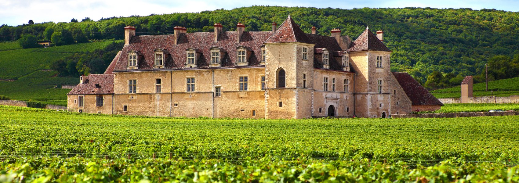 Ophorus Tours - Dijon