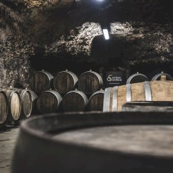 Ophorus Tours - Partner Domaine Chateau Gaudrelle - Vouvray