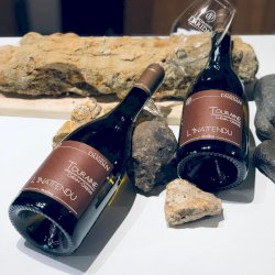 Ophorus Tours - Partner Domaine Daridan - Cheverny