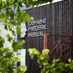 Ophorus Tours - Partner Domaine Frederic Mabileau - Saint Nicolas de Bourgueil & Anjou