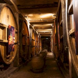 Ophorus Tours - Partner Maison Klipfel - BARR