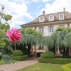 Ophorus Tours - Partner Domaine Dopff au moulin - RIQUEWHIR