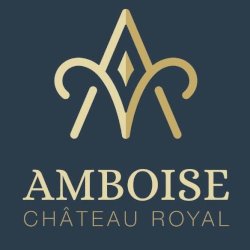 Ophorus Tours - Partner Château Royal d'Amboise