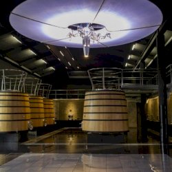 Ophorus Tours - Partner Château Malescasse - Cru Bourgeois Exceptionnel