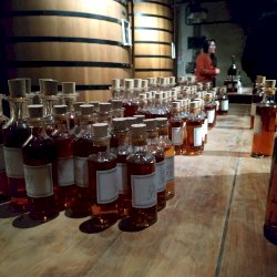 Ophorus Tours - Partner Hennessy