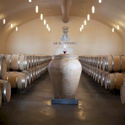 Ophorus Tours - Partner Château La Dauphine