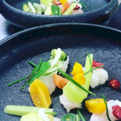 Ophorus Tours - Partner Le Colbert