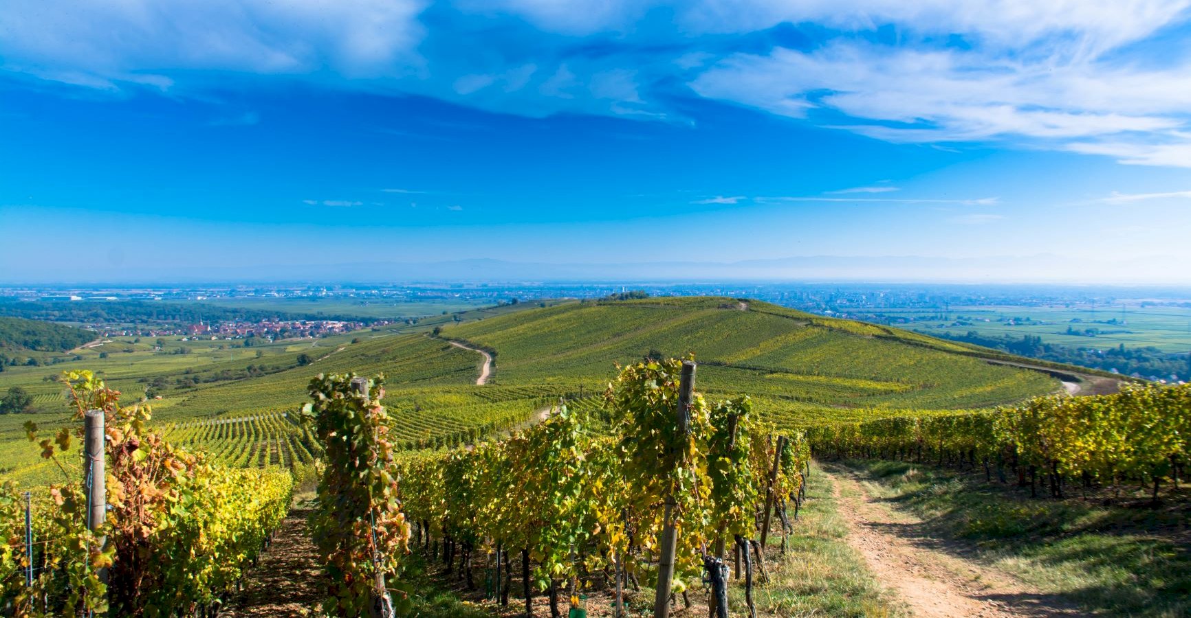 Ophorus Tours - 8 Days Alsace & Burgundy Private Travel Package - Based in Strasbourg & Beaune