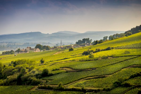 Ophorus Tours - 4 Days Burgundy Wine Tour Private Travel Package Dijon France