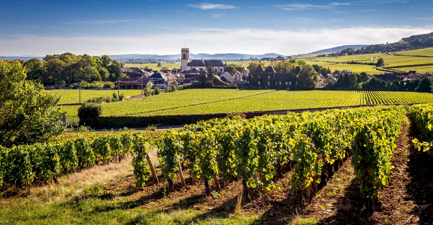 Ophorus Tours - 4 Days Private Burgundy Wine Tours Travel Package - Beaune France