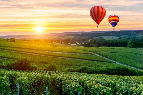 Ophorus Tours - 4 Days Champagne Shared Travel Package - Based in Reims