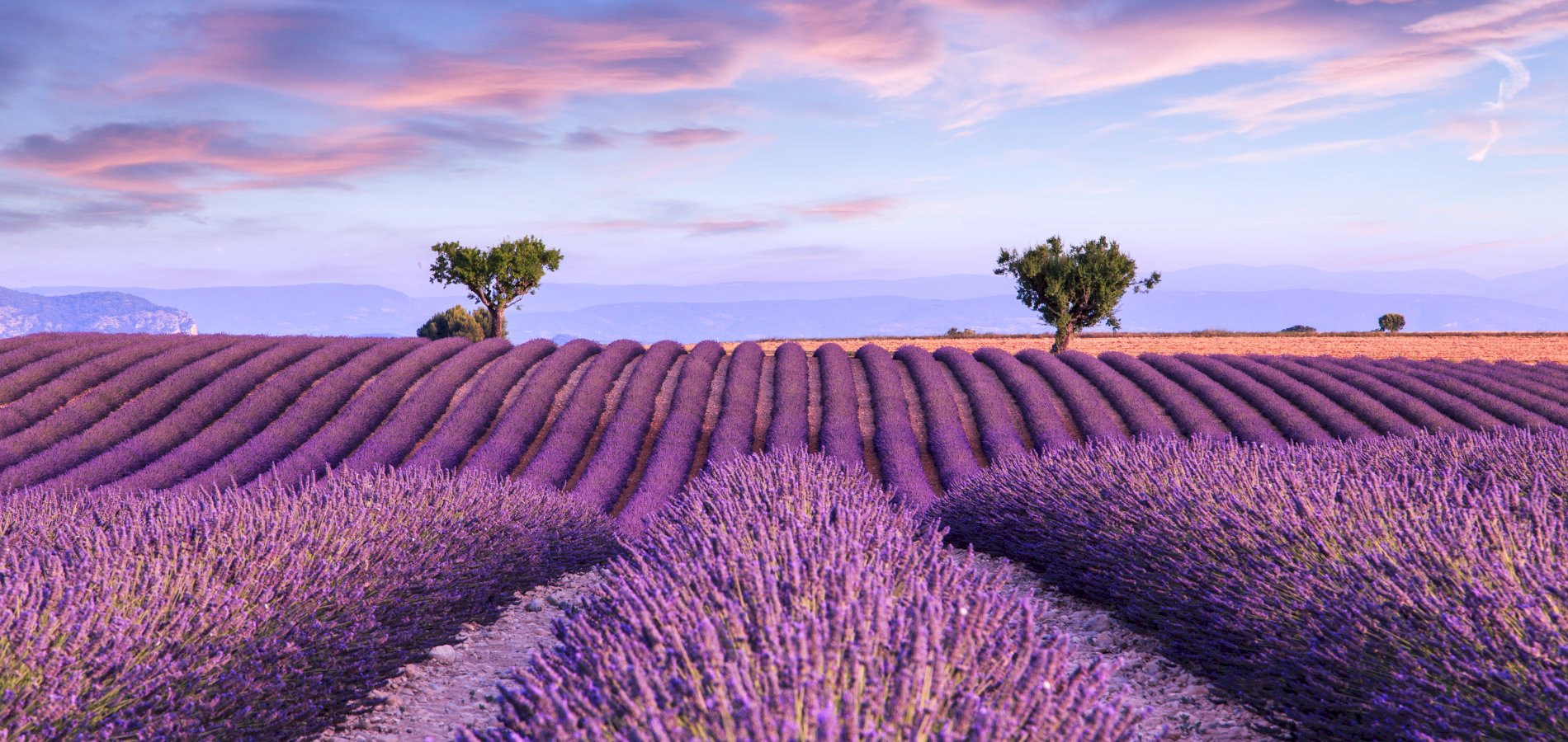 Ophorus Tours - Unveiling Provence: Private Package based in Aix-en-Provence