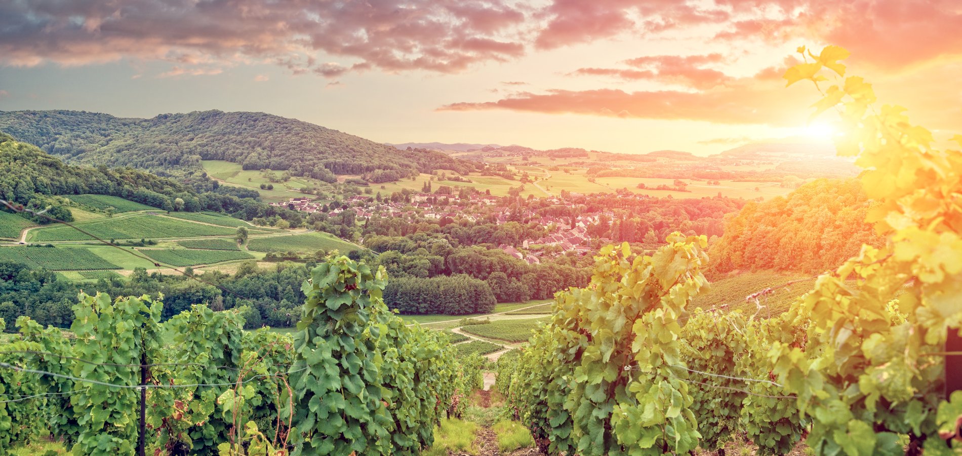 Ophorus Tours - 11 Days Private Champagne, Alsace & Burgundy Travel Package