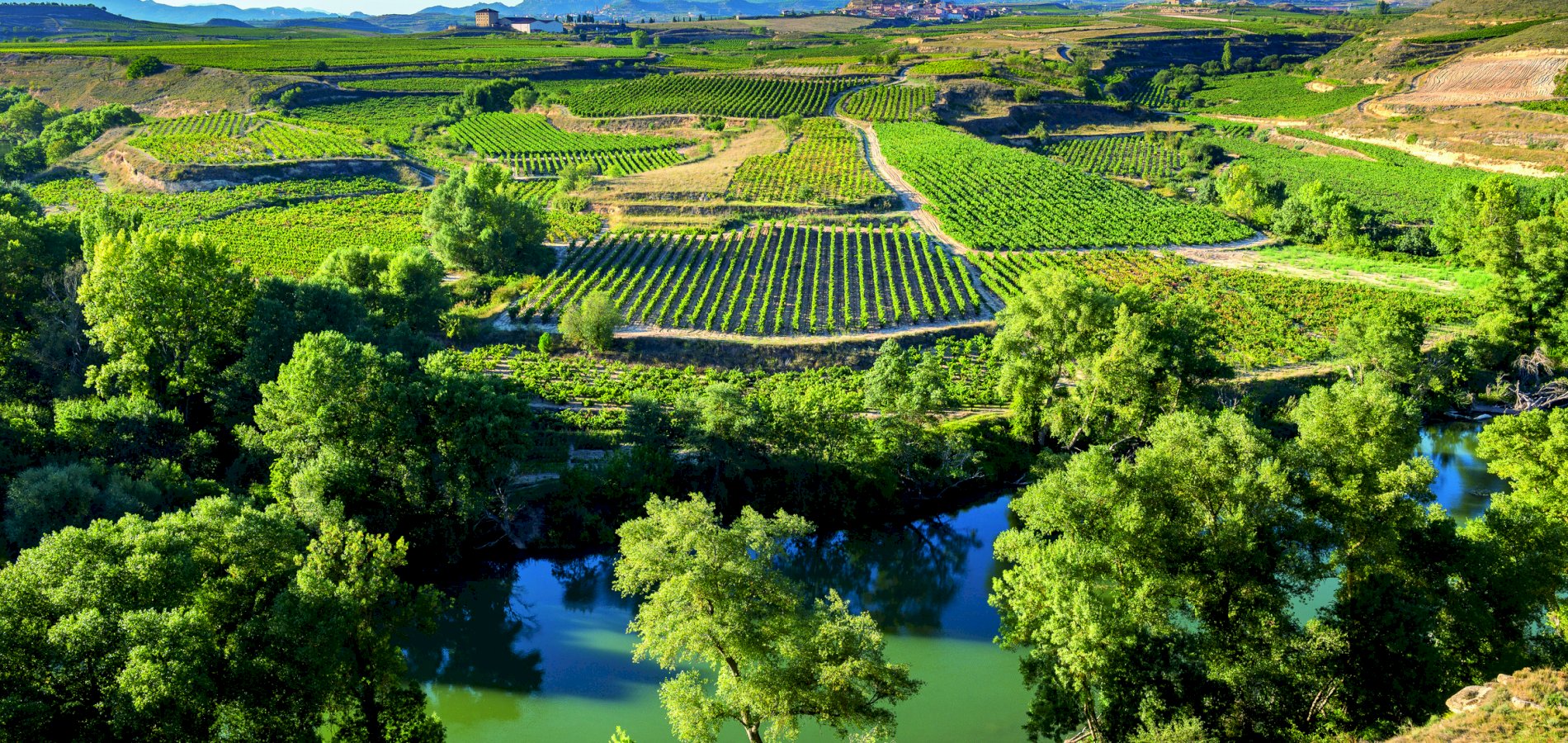 Ophorus Tours - Bordeaux to San Sebastian: 7-Day Private Culinary Coastline Escape