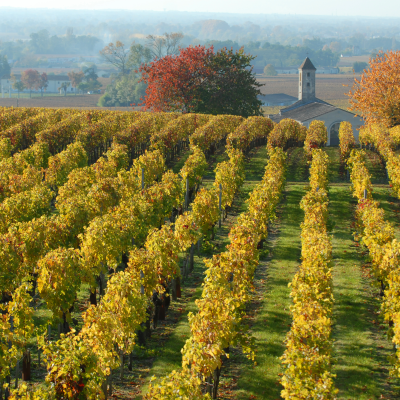 In the afternoon, visit another local, often family-run winery. Meet passionate producers, hear their story and compare a new selection of Bergerac wi
