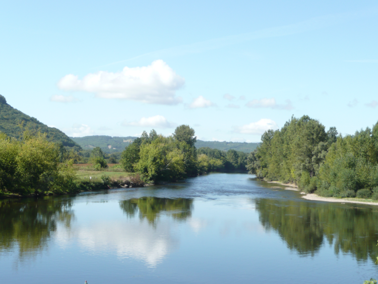 Ophorus Tours - Private Bergerac Wine Tour from Sarlat: An Exclusive Vineyard Experience