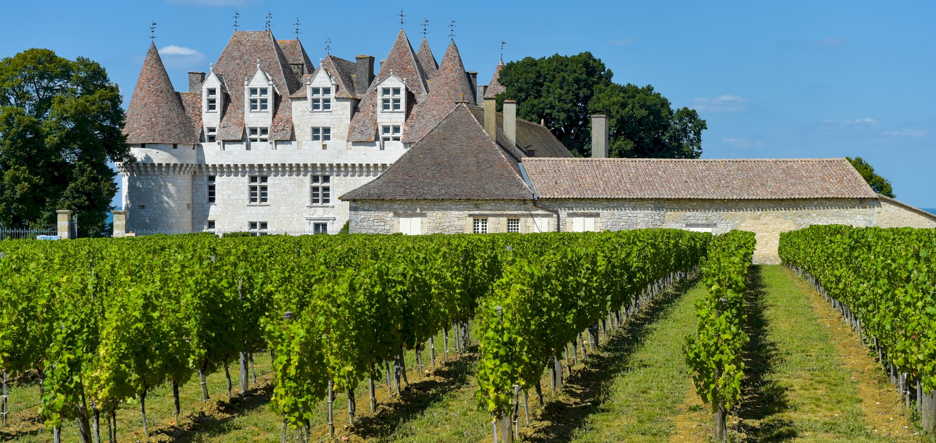 Ophorus Tours - Bergerac Wine Tour from Sarlat: An Exclusive Vineyard Experience