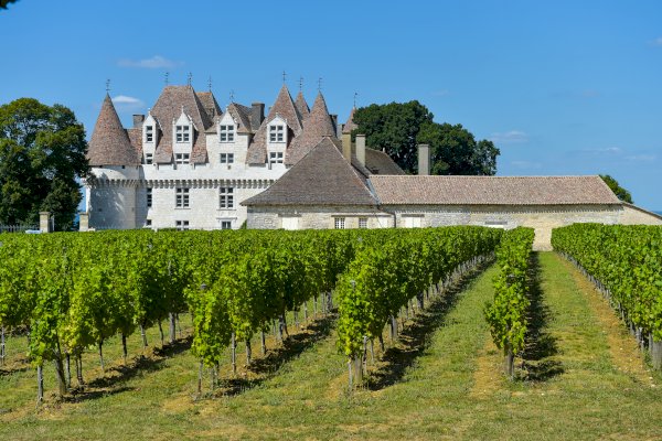 Ophorus Tours - Dordogne Wine Tour Private Day Trip From Sarlat