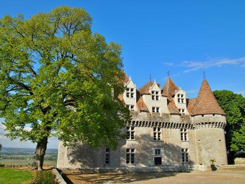 Ophorus Tours - Private Bergerac Wine Tour from Sarlat: An Exclusive Vineyard Experience