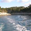 Calanques Boat Ride
