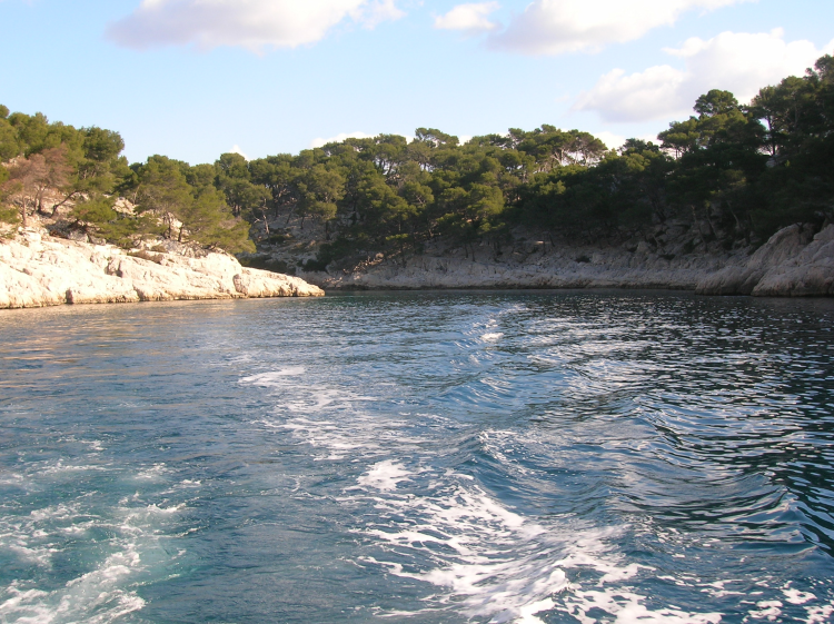 Ophorus Tours - Perfect Private Day Trip from Marseille: Cassis, Calanques & Provence Wines