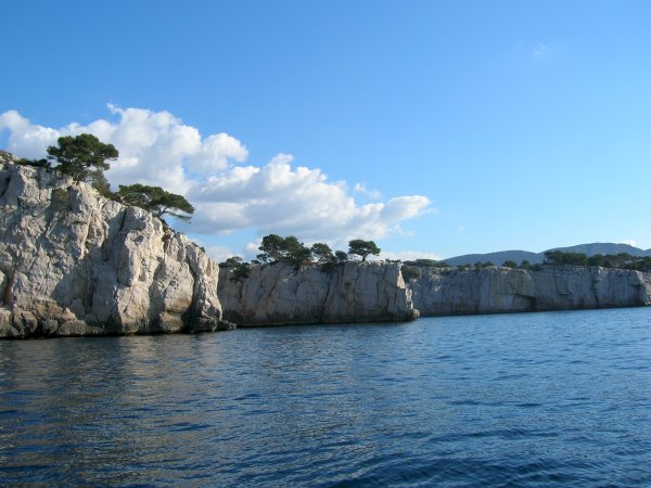 Ophorus Tours - Perfect Private Day Trip from Marseille: Cassis, Calanques & Provence Wine