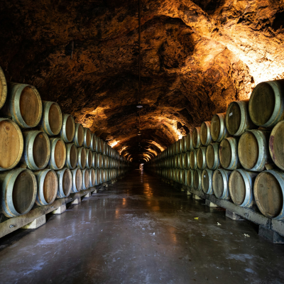Second winery or village stop (Nuits‑Saint‑Georges / Vougeot)