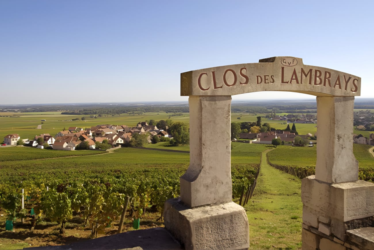 Ophorus Tours - Côte de Nuits Small Group Half-Day Wine Tour from Dijon