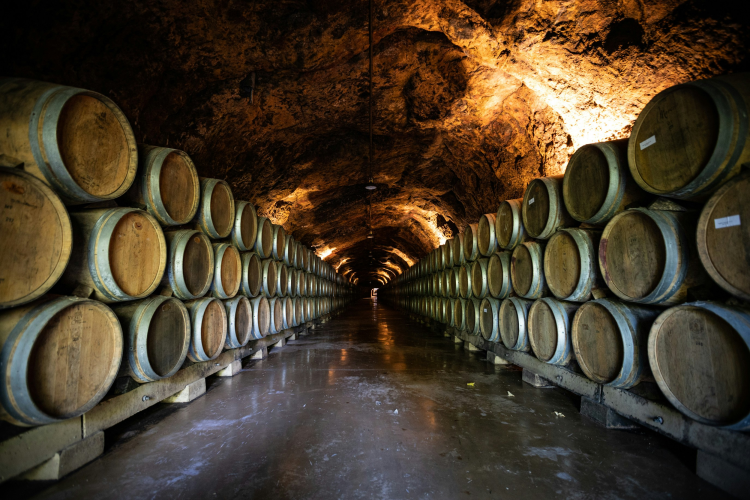 Ophorus Tours - Dijon Wine Tours: Côte de Nuits Half-Day Small Group Excursion