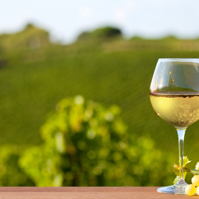 Winery Visit